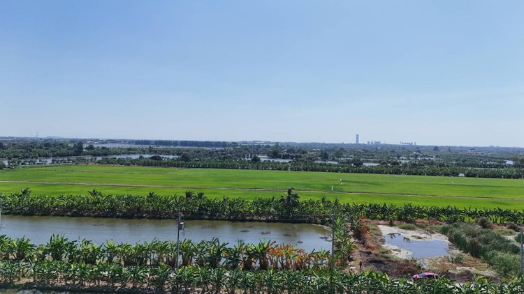 ขายที่ดิน 1 ไร่ ซอยวัดบัวโรย สมุทรปราการ รูปที่ 3