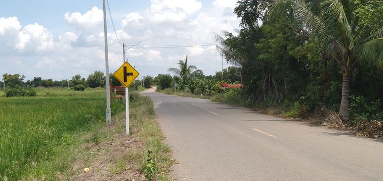 ขายที่ดิน คลอง 21 อำเภอบางน้ำเปรี้ยว จังหวัดฉะเชิงเทรา รูปที่ 3