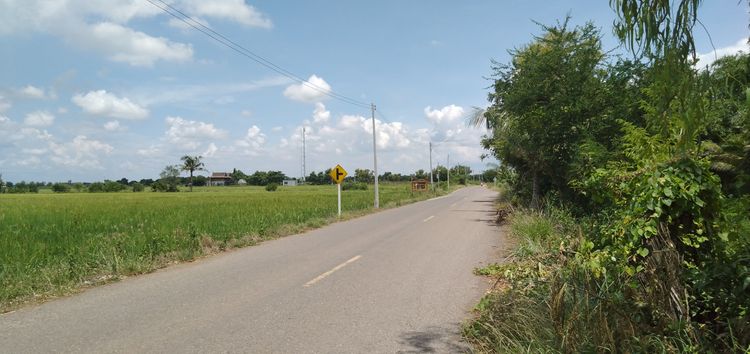 ขายที่ดิน คลอง 21 อำเภอบางน้ำเปรี้ยว จังหวัดฉะเชิงเทรา รูปที่ 2