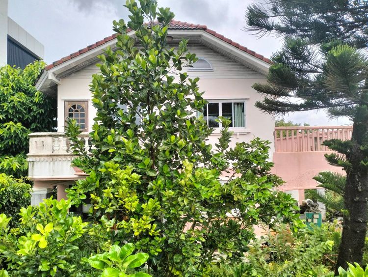 ขายที่ดินพร้อมบ้านหลังโลตัสปากช่อง นครราชสีมา