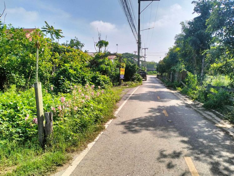 มีบางส่วน สร้างเสร็จก่อน 2010 ขายที่ดินพร้อมบ้านหลังโลตัสปากช่อง นครราชสีมา รูปที่ 4