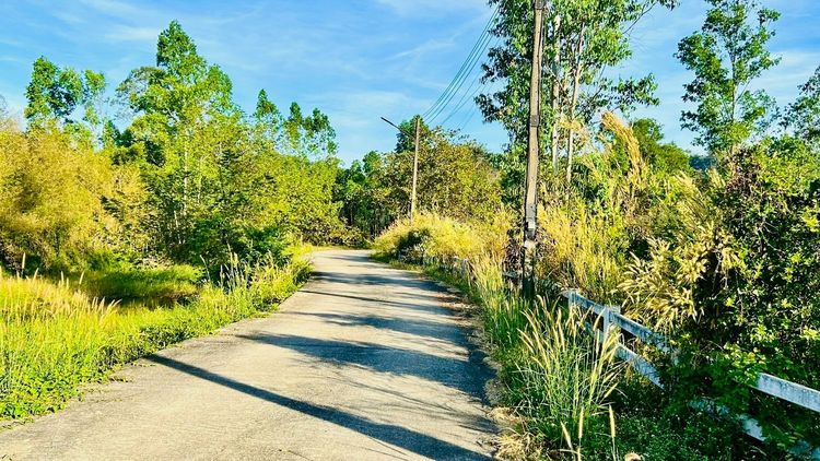 ที่ดินใกล้แหล่งท่องเที่ยวนครนายก รูปที่ 2