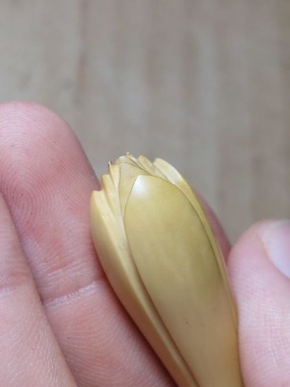 เครื่องรางดอกจำปีหลวงพ่อสดวัดปากน้ำดอกใหญ่จ้า รูปที่ 2