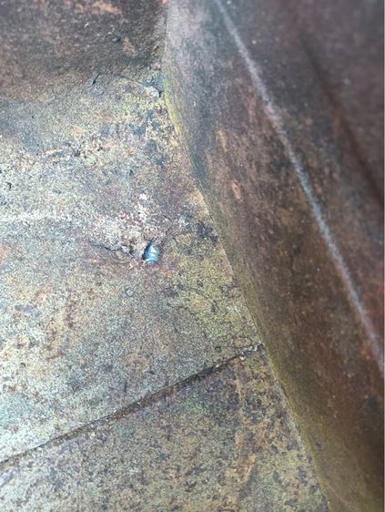 หีบเหล็ก หีบสมบัติ เก่าโบราณสะสม รูปที่ 11