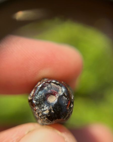 ตะกรุดลูกปืน มันส์ๆ ไม่ทราบที่ (มีสินค้าหลายรายการกดเข้ามาดูในโปรไฟล์ได้เลยครับ) รูปที่ 7