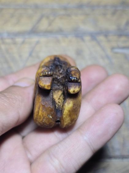 กุมาร รูปที่ 8