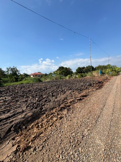 ที่ดินกรุงเทพ หนองจอก ถมแล้ว  50 ตร.ว. 390,000 