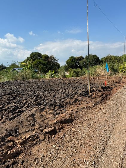 ที่ดินกรุงเทพ หนองจอก ถมแล้ว  50 ตร.ว. 390,000  รูปที่ 3