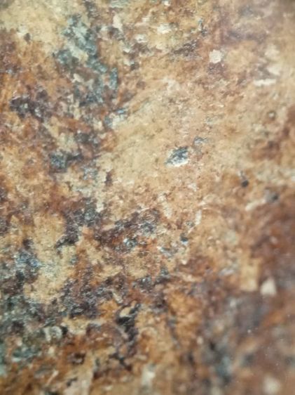 พระคงลำพูนครับ รูปที่ 16