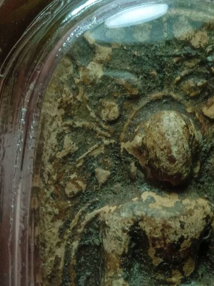 พระคงลำพูนครับ รูปที่ 5