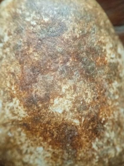 พระผงวัดพลับครับ รูปที่ 17