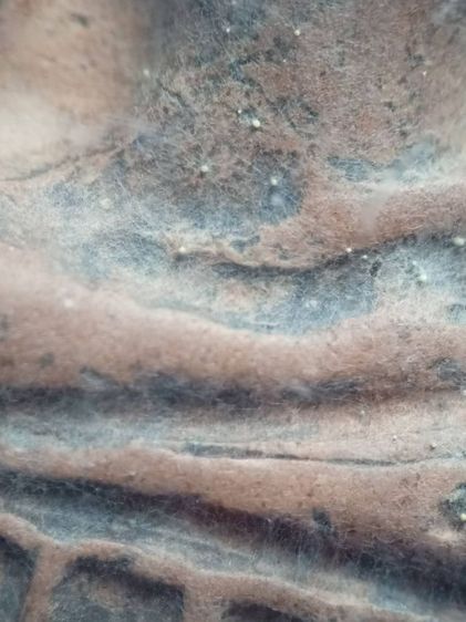 ❌ปิดครับ❌พระยอดขุนพลเนื้อดินเมืองพะเยาครับ รูปที่ 13