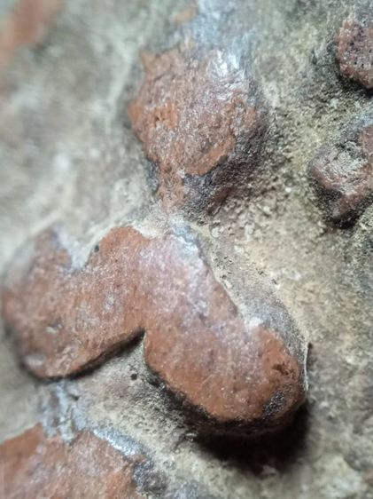 พระกริ่งคลองตะเคียนครับ รูปที่ 5