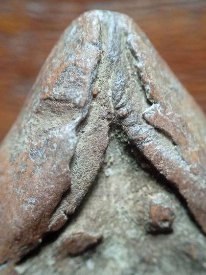 พระกริ่งคลองตะเคียนครับ รูปที่ 3