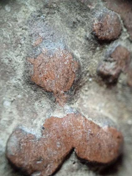 พระกริ่งคลองตะเคียนครับ รูปที่ 17