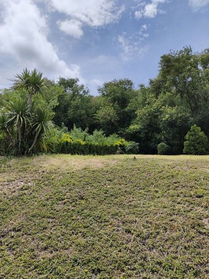 ขายที่ดินพร้อมโฉนด 1-1-32 ตรว. อ.ปากช่อง จ.นครราชสีมา ทำเลดี บรรยากาศร่มรื่น ด้านหลังติดภูเขา