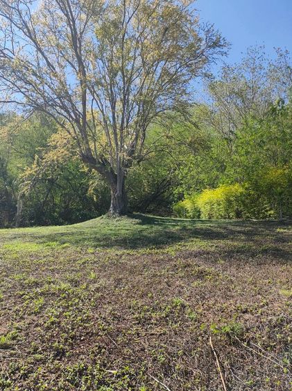 ขายที่ดินพร้อมโฉนด 1-1-32 ตรว. อ.ปากช่อง จ.นครราชสีมา ทำเลดี บรรยากาศร่มรื่น ด้านหลังติดภูเขา รูปที่ 2