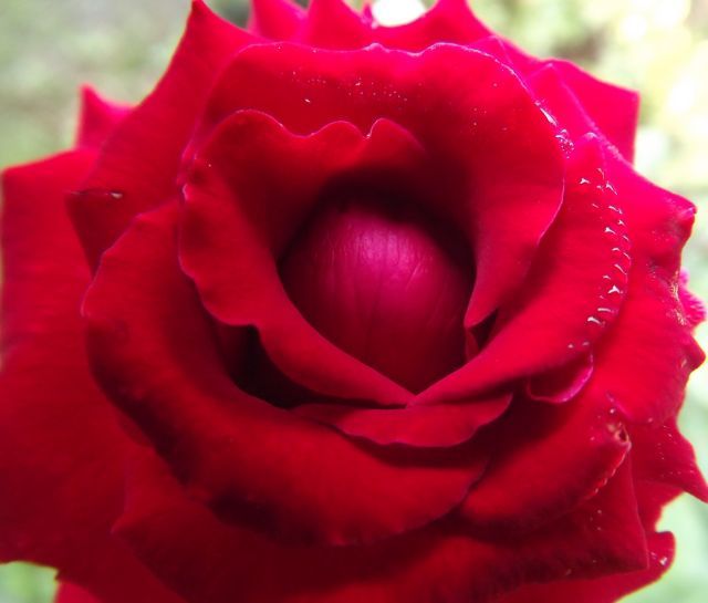 กล้องดิจิตอล Fujifilm S4000 30xzoom รูปที่ 9