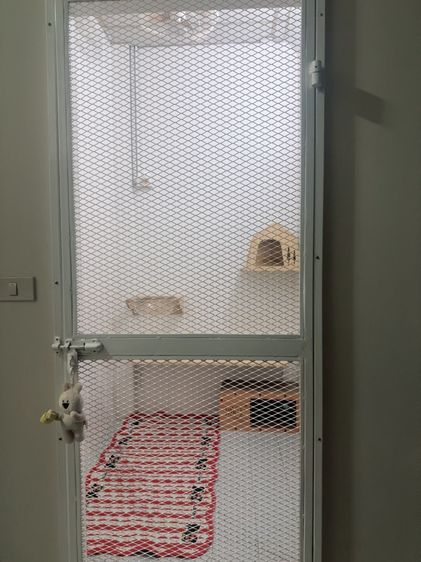 ฝากรับเลี้ยงน้องแมว รูปที่ 2