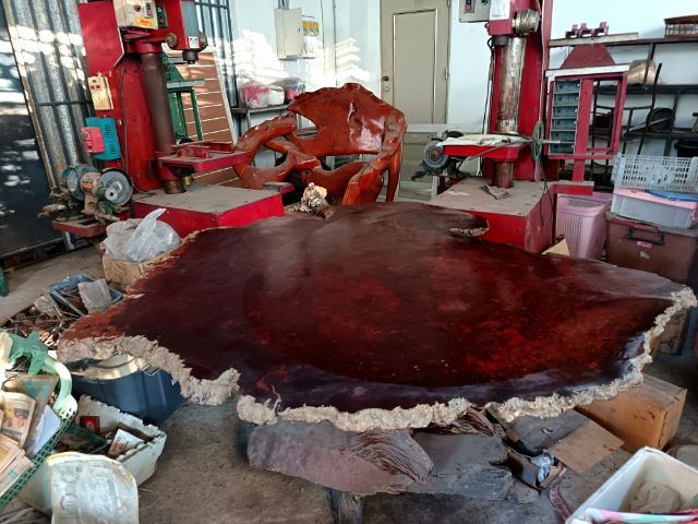 ขายโต๊ะไม้ปุ่มมะค่าโมง​ แผ่นไม้กว้าง​ 1.5​ เมตร​ หน้าโต๊ะไม้มีความบิด1ด้าน รูปที่ 5