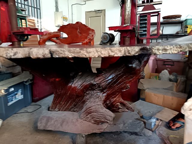 ขายโต๊ะไม้ปุ่มมะค่าโมง​ แผ่นไม้กว้าง​ 1.5​ เมตร​ หน้าโต๊ะไม้มีความบิด1ด้าน รูปที่ 6