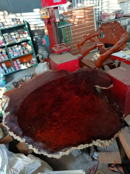 ขายโต๊ะไม้ปุ่มมะค่าโมง​ แผ่นไม้กว้าง​ 1.5​ เมตร​ หน้าโต๊ะไม้มีความบิด1ด้าน รูปที่ 2