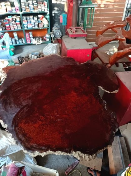 ขายโต๊ะไม้ปุ่มมะค่าโมง​ แผ่นไม้กว้าง​ 1.5​ เมตร​ หน้าโต๊ะไม้มีความบิด1ด้าน