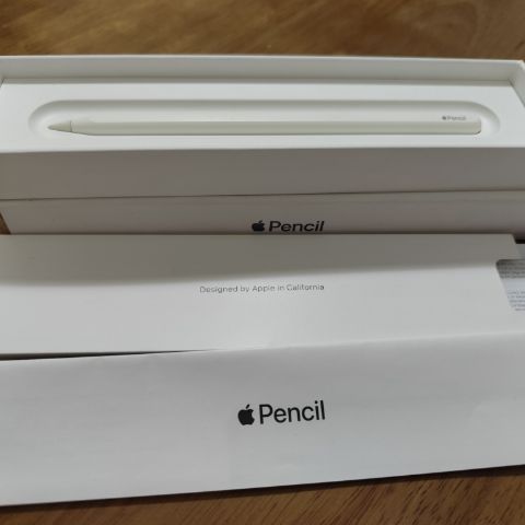 Apple Pencil 2 ขายตามสภาพไม่ได้เช็คกรุณาอ่านรายระเอียด(ขอคนรับได้) รูปที่ 2