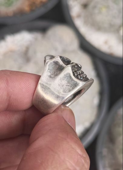 แหวนกะโหลกเงินแท้ งานนอก  งานมันส์ๆ​ ราคาดีๆครับ รูปที่ 5