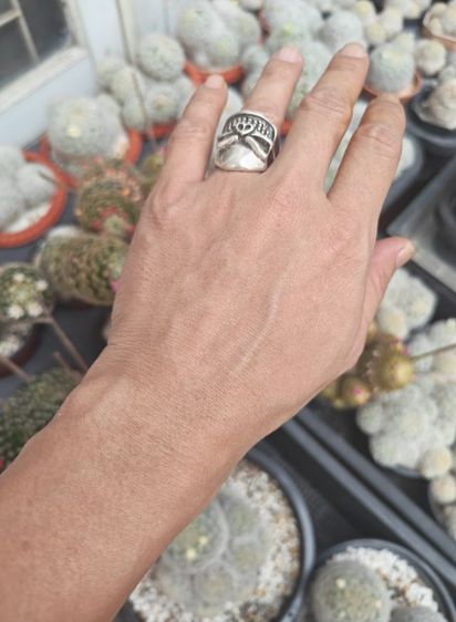 แหวนกะโหลกเงินแท้ งานนอก  งานมันส์ๆ​ ราคาดีๆครับ รูปที่ 10