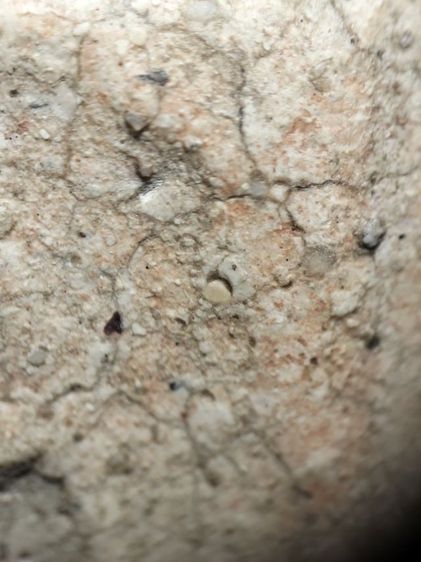 พระสมเด็จครับ รูปที่ 5