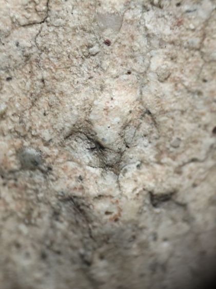 พระสมเด็จครับ รูปที่ 2