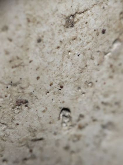 พระสมเด็จครับ รูปที่ 14