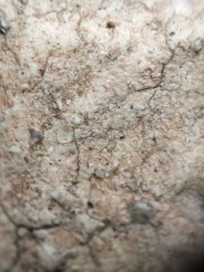 พระสมเด็จครับ รูปที่ 6