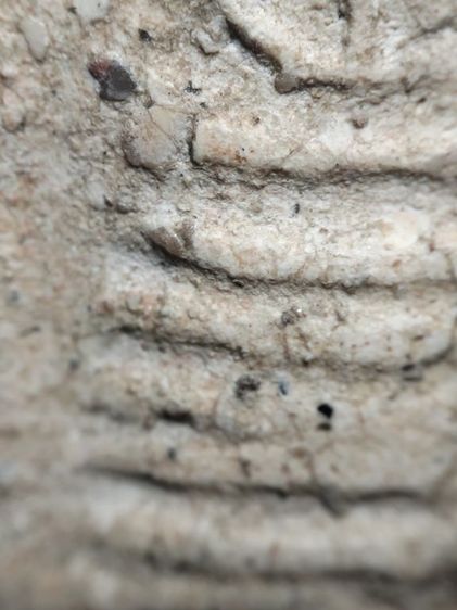 พระสมเด็จครับ รูปที่ 10