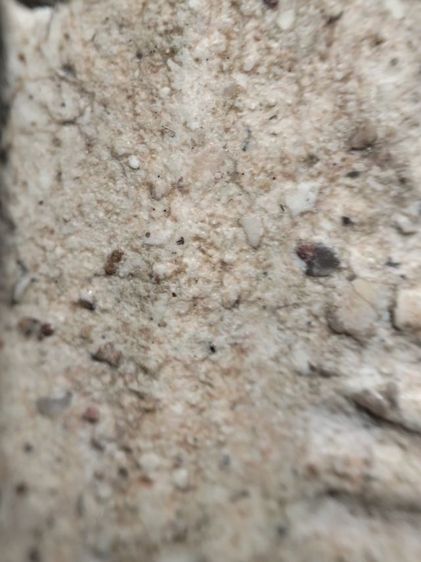 พระสมเด็จครับ รูปที่ 17