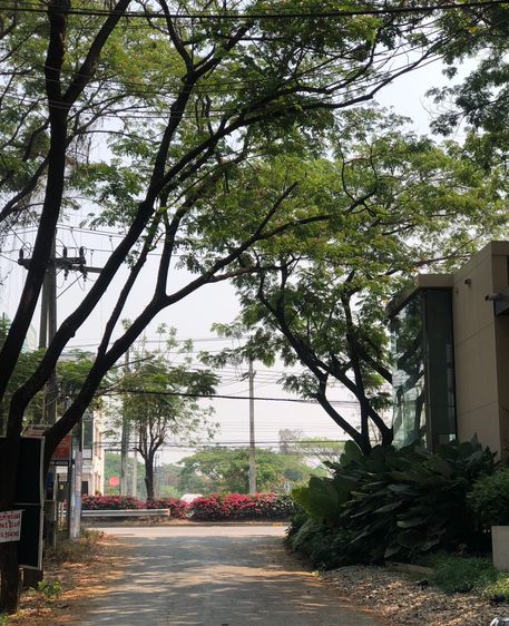 ที่ดินแปลงมุม ติดถนนวงแหวน ใกล้แยกรวมโชค เชียงใหม่