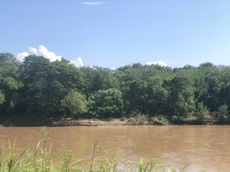 ที่ดินติดแม่น้ำปิง ใกล้ รพ นครพิงค์ แม่ริม เชียงใหม่ 