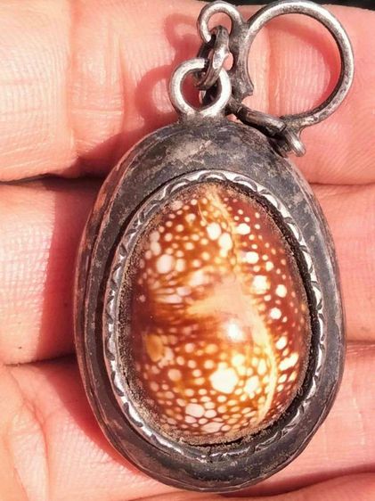 เบี้ยแก้หลวงพ่อนุ่มวัดนางในอ่างทอง