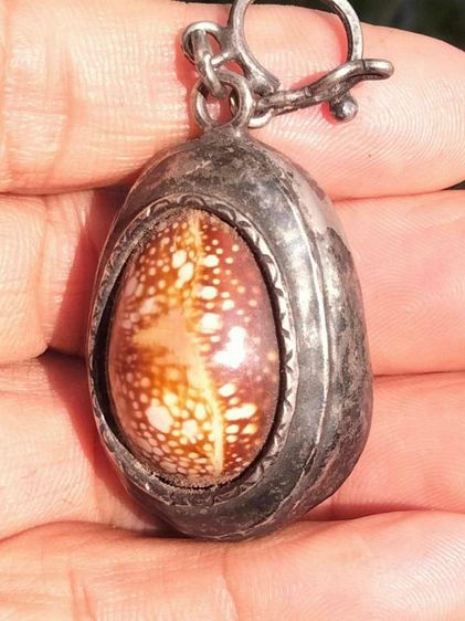 เบี้ยแก้หลวงพ่อนุ่มวัดนางในอ่างทอง รูปที่ 2