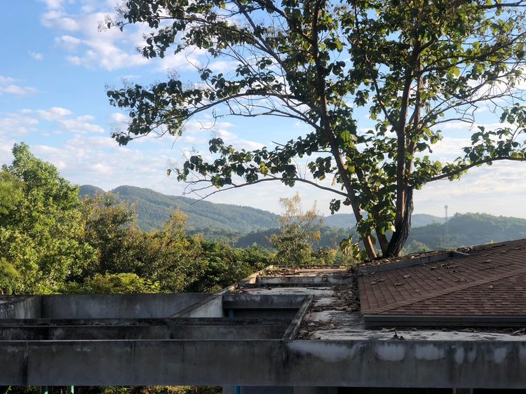 ที่ดินบนเนินสูง วิวสวย บ้านปง หางดง เชียงใหม่