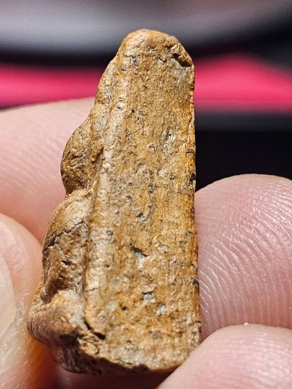 พระนางพญา รูปที่ 6