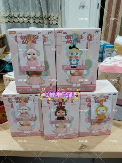 สกูชชี่ แมว Crybaby รูปที่ 4
