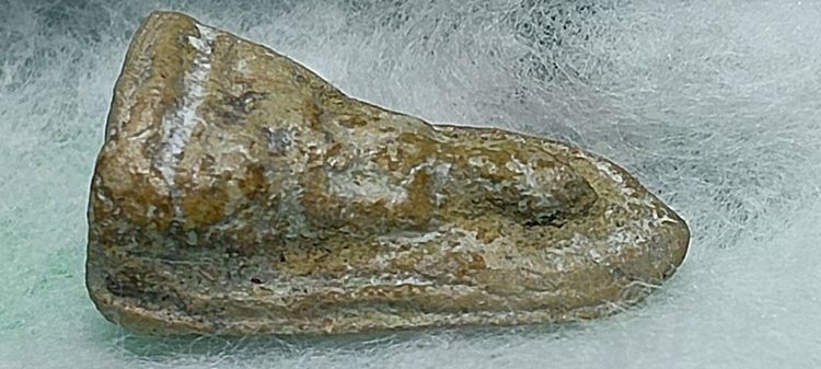 พระรอดจิ๋ว  กรุวัดมหาวัน ลำพูน รูปที่ 6