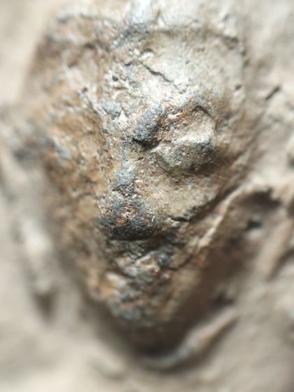 พระซุ้มขุนตาลเนื้อดินครับ รูปที่ 2