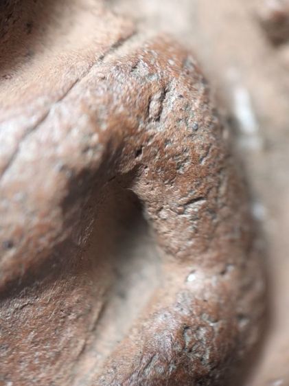 ❌ปิดครับ❌หลวงพ่อโตบางกระทิงอยุธยาครับ รูปที่ 8