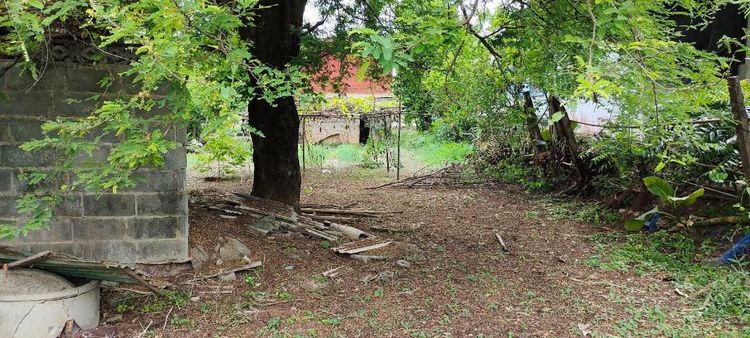 ใช่ ขายที่ดินอำเภอคำตะกร้า ขายที่ดิน อำเภอคำตากล้า 66 ตารางวา ติดถนนดำ ราคา 450,000 บาทค่ะ

ที่ดิน อำเภอคำตากล้า ที่มีบ้านหลังสีแดงปลูกอยู่  รูปที่ 3