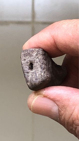 พระหลวงปู่ทวดเนื้อว่าน วัดช้างให้ พิมพ์ต้อเล็ก ปี 2497 รูปที่ 5