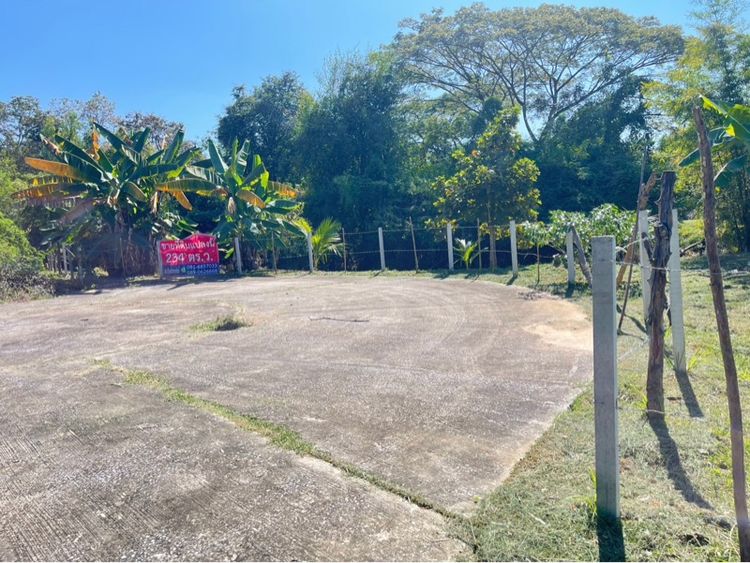 ที่ดินเปล่า