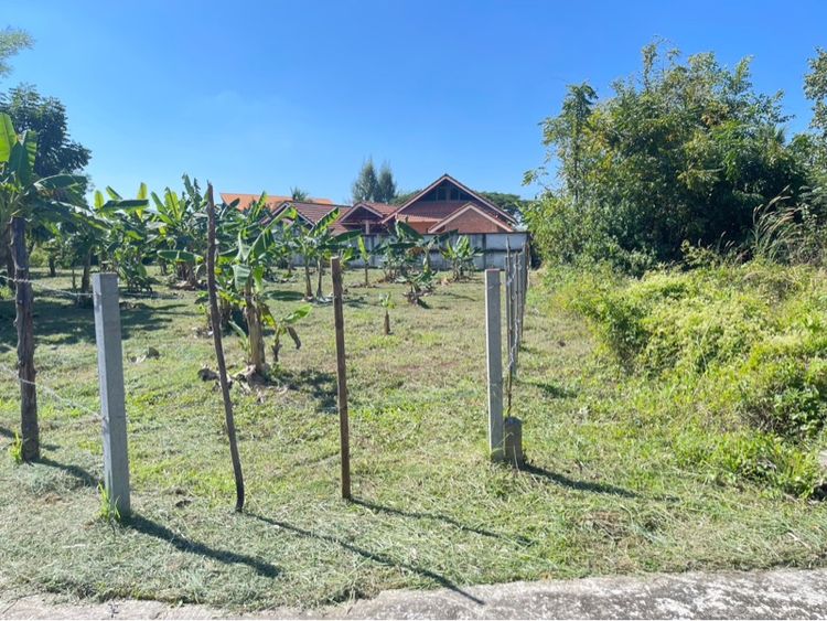 ใช่ ที่ดินเปล่า รูปที่ 2